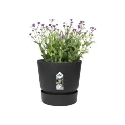 Greenville Round Pot Black 7 Greenville Round Pot Black -KANG Plants Shop pr2000038224 card2 lg