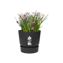 Greenville Round Pot Black 8 Greenville Round Pot Black -KANG Plants Shop pr2000038224 card3 lg