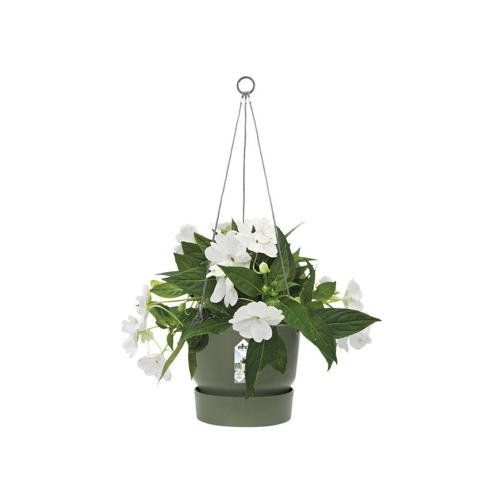 Greenville Hanging Basket Green 4 Greenville Hanging Basket Green - Image 2