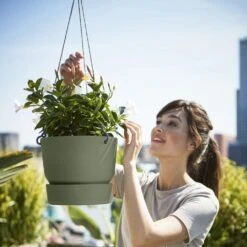 Greenville Hanging Basket Green 9 Greenville Hanging Basket Green -KANG Plants Shop pr2000038231 card4 lg