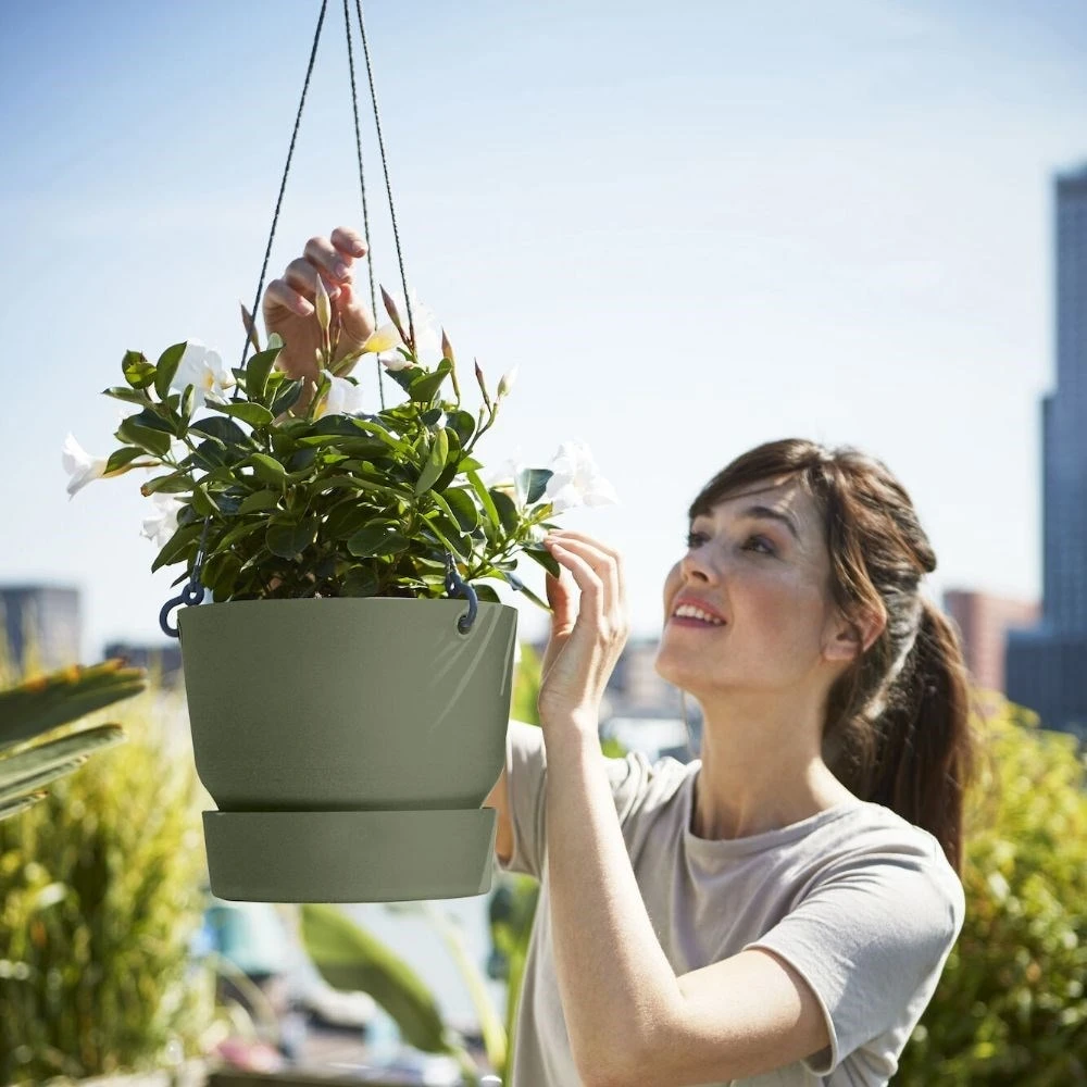Greenville Hanging Basket Green 6 Greenville Hanging Basket Green - Image 4