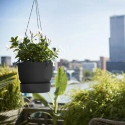 Greenville Hanging Basket Black -KANG Plants Shop pr2000038232 card3 lg