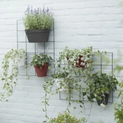 Loft Urban Green Wall Rack Black -KANG Plants Shop pr2000038235 card3 lg