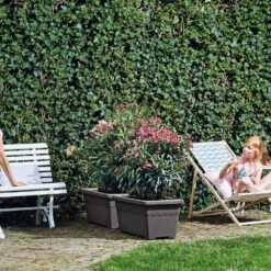 Algarve Terrace Wheels Anthracite 7 Algarve Terrace Wheels Anthracite -KANG Plants Shop pr2000038240 card3 lg