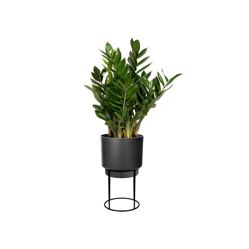 Matt Black Planter With Stand 4 Matt Black Planter With Stand - Image 2