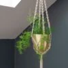 Macrame Hanger With Brushed Brass Pot 1 Macrame Hanger With Brushed Brass Pot -KANG Plants Shop pr2000038571