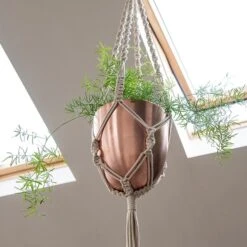 Macrame Hanger With Brushed Copper Pot 11 Macrame Hanger With Brushed Copper Pot -KANG Plants Shop pr2000038572 card5 lg