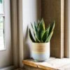 Bamboo Grey Planter -KANG Plants Shop pr2000038931