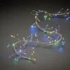 Multi Function Cluster Lights 2 Multi Function Cluster Lights -KANG Plants Shop pr2000039437