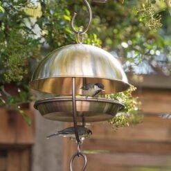 Brushed Brass Hanging Bird Feeding Dome -KANG Plants Shop pr2000040684 card4 lg