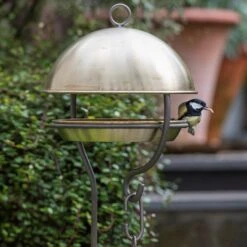 Brushed Brass Stake Bird Feeding Dome 7 Brushed Brass Stake Bird Feeding Dome -KANG Plants Shop pr2000040687 card3 lg