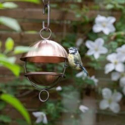 Brushed Copper Satellite Bird Seed Feeder 10 Brushed Copper Satellite Bird Seed Feeder -KANG Plants Shop pr2000040690 card2 lg