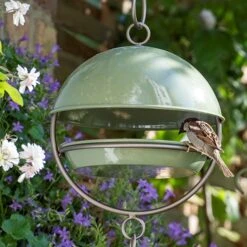 Hanging Bird Feeding Dome - Crocus Green 14 Hanging Bird Feeding Dome - Crocus Green -KANG Plants Shop pr2000040693 card5 lg