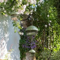 Hanging Bird Feeding Dome - Crocus Green 16 Hanging Bird Feeding Dome - Crocus Green -KANG Plants Shop pr2000040693 card7 lg