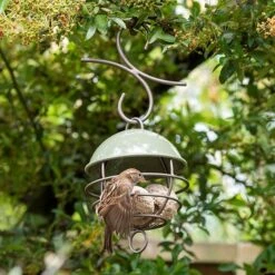 Satellite Fat Ball Feeder - Crocus Green -KANG Plants Shop pr2000040694 card2 lg