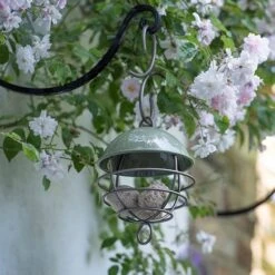 Satellite Fat Ball Feeder - Crocus Green -KANG Plants Shop pr2000040694 card4 lg