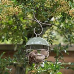 Satellite Fat Ball Feeder - Crocus Green -KANG Plants Shop pr2000040694 card5 lg