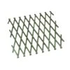 Heavy Duty Expanding Trellis - Green 2 Heavy Duty Expanding Trellis - Green -KANG Plants Shop pr2000040768