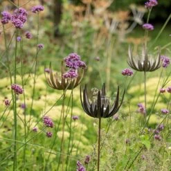 Flower Stake Tealight Holder - Antique Bronze -KANG Plants Shop pr2000040769 card3 lg