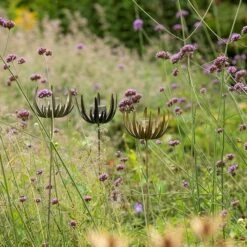 Flower Stake Tealight Holder - Antique Brass -KANG Plants Shop pr2000040770 card6 lg