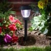 Super Bright Solar Stake Lights - Set Of 4 -KANG Plants Shop pr2000040806