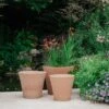 Conical Italian Terracotta Pot 1 Conical Italian Terracotta Pot -KANG Plants Shop pr2000040882