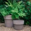 Perfetto Grey Italian Terracotta Planter -KANG Plants Shop pr2000040886