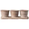 Italian Terracotta Pots Whitewash - Set Of 3 With Tray -KANG Plants Shop pr2000040888
