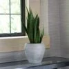 Seia Planter Light Grey 1 Seia Planter Light Grey -KANG Plants Shop pr2000040962