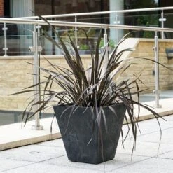 Tapered Plant Pot - Black -KANG Plants Shop pr2000040996 card2 lg