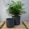 Straight Edged Plant Pot - Black -KANG Plants Shop pr2000041559