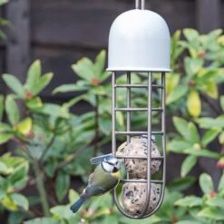 Tree Hanging Fat Ball Feeder - Putty -KANG Plants Shop pr2000041703 card4 lg