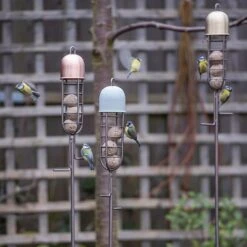 Garden Stake Fat Ball Feeder 11 Garden Stake Fat Ball Feeder -KANG Plants Shop pr2000041704 card5 lg