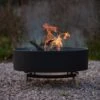 Fire Pit With Free Standing Cooking Grill - Stainless Steel Base 1 Fire Pit With Free Standing Cooking Grill - Stainless Steel Base -KANG Plants Shop pr2000041712