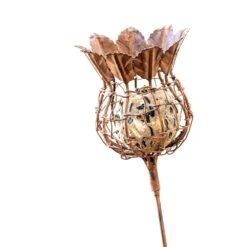 Poppy Seed Head Fat Snax Feeder - Rust -KANG Plants Shop pr2000041714 card2 lg