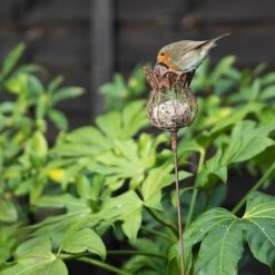 Poppy Seed Head Fat Snax Feeder - Rust -KANG Plants Shop pr2000041714 card4 lg