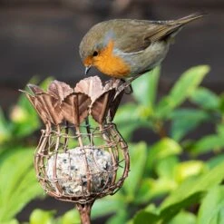 Poppy Seed Head Fat Snax Feeder - Aged Zinc -KANG Plants Shop pr2000041715 card3 lg