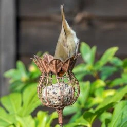 Poppy Seed Head Fat Snax Feeder - Aged Zinc -KANG Plants Shop pr2000041715 card4 lg