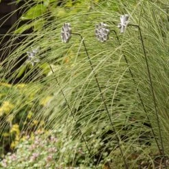 Plant/bulb Marking Stake - Shamrock 10 Plant/bulb Marking Stake - Shamrock -KANG Plants Shop pr2000041716 card4 lg