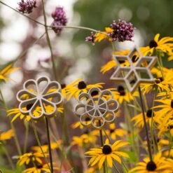 Plant/bulb Marking Stake - Daisy 11 Plant/bulb Marking Stake - Daisy -KANG Plants Shop pr2000041717 card5 lg