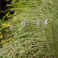 Plant/bulb Marking Stake - Flower -KANG Plants Shop pr2000041718 card4 lg