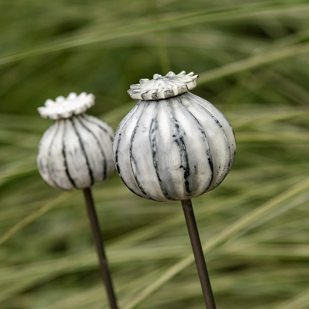 Perennial Plant/bulb Marking Stake Poppy Seed Head 4 Perennial Plant/bulb Marking Stake Poppy Seed Head - Image 2