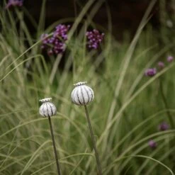 Perennial Plant/bulb Marking Stake Poppy Seed Head 13 Perennial Plant/bulb Marking Stake Poppy Seed Head -KANG Plants Shop pr2000041720 card5 lg