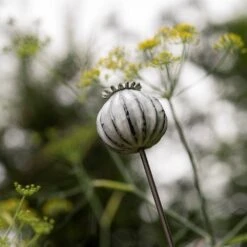 Perennial Plant/bulb Marking Stake Poppy Seed Head 15 Perennial Plant/bulb Marking Stake Poppy Seed Head -KANG Plants Shop pr2000041720 card7 lg