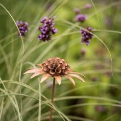 Scabiosa 'deadhead' Stake - Rust