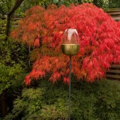 Tulip Stake Tealight Holder (adjustable Height) - Brushed Brass -KANG Plants Shop pr2000041729 card6 lg