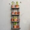 Wall Plant Display -KANG Plants Shop pr2000041734