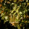 Hanging Tealight Lantern - Brass 2 Hanging Tealight Lantern - Brass -KANG Plants Shop pr2000041742