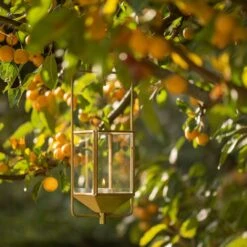 Hanging Tealight Lantern - Brass 12 Hanging Tealight Lantern - Brass -KANG Plants Shop pr2000041742 card3 lg