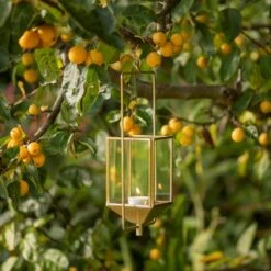 Hanging Tealight Lantern - Brass 16 Hanging Tealight Lantern - Brass -KANG Plants Shop pr2000041742 card7 lg